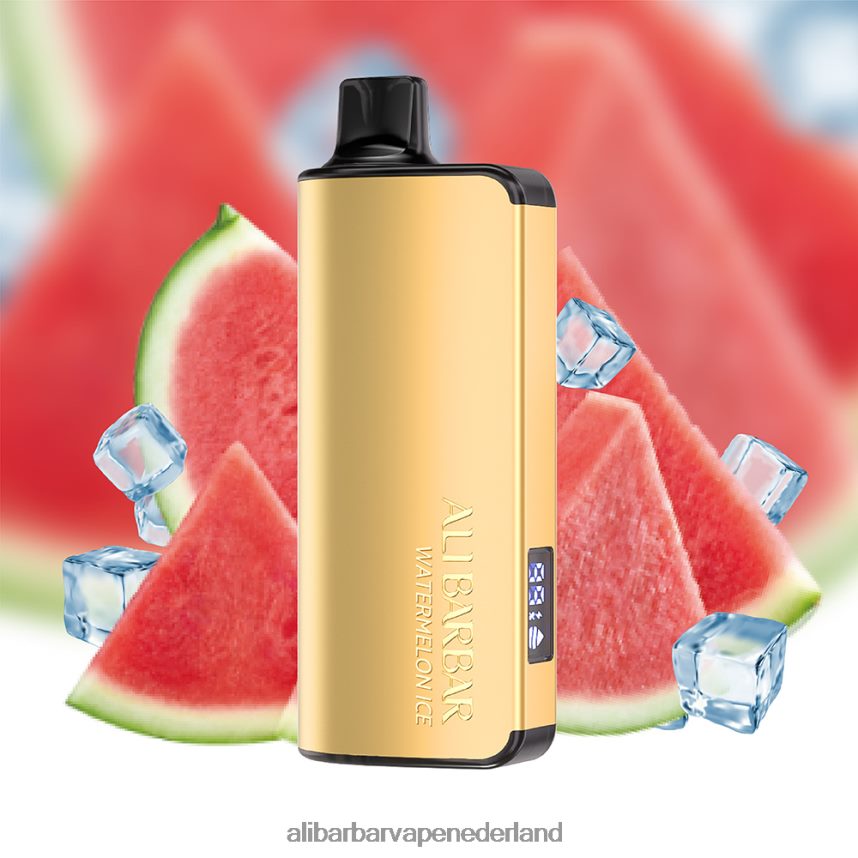 Alibarbar Vape Nederland - 24DHV231 Alibarbar Ingot 20000 wegwerpdamp bosbessen explosie