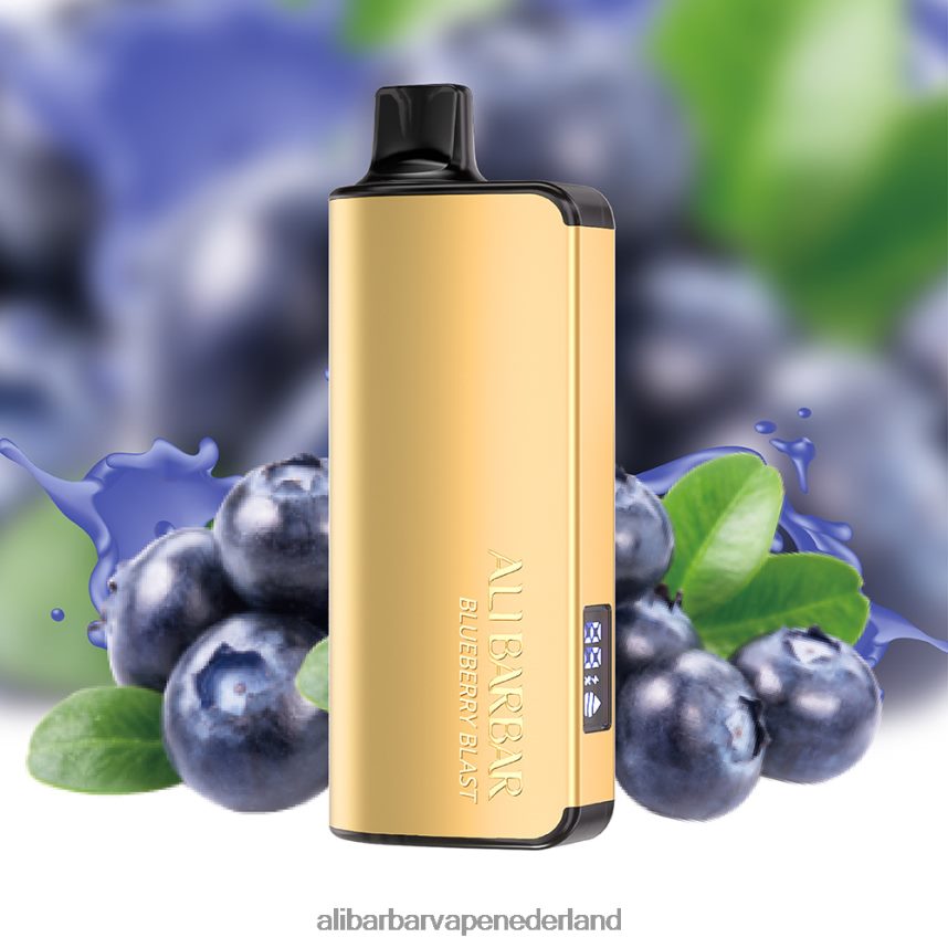 Alibarbar Vape Nicotine Content - 24DHV215 Alibarbar Ingot 9000 wegwerpdamp bosbessen explosie