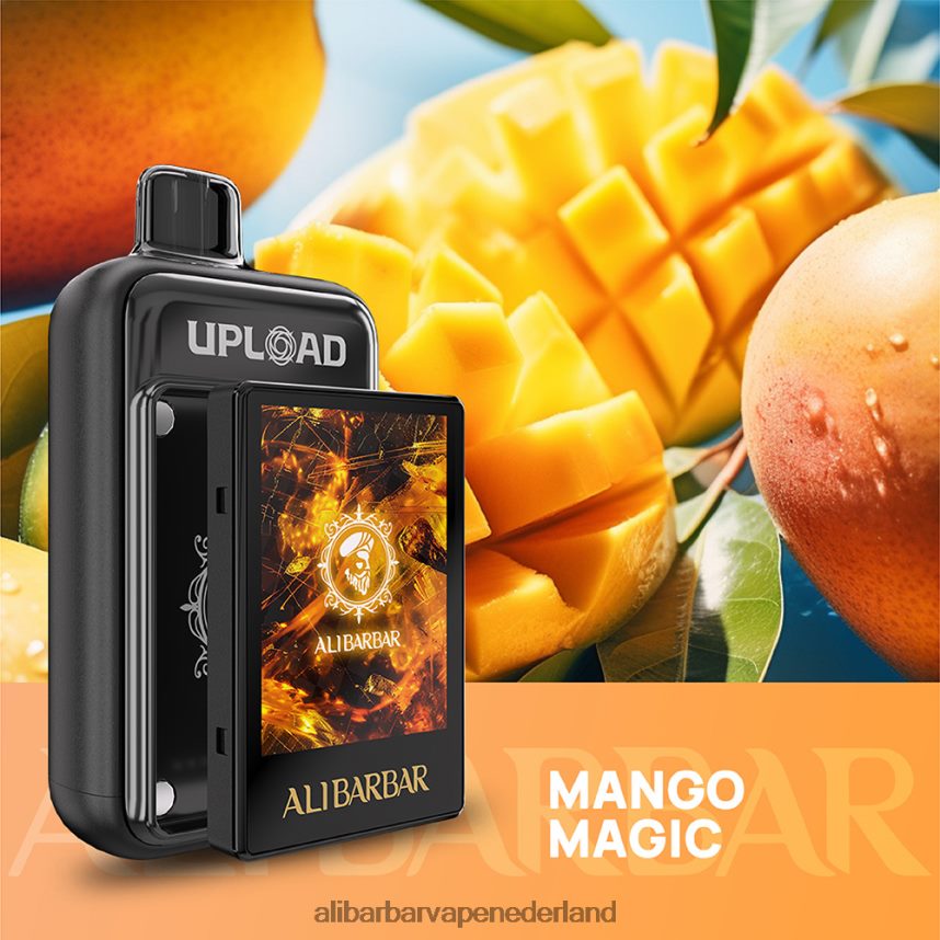 mango-magie